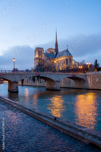 landscape with notre dame de paris and Seine river