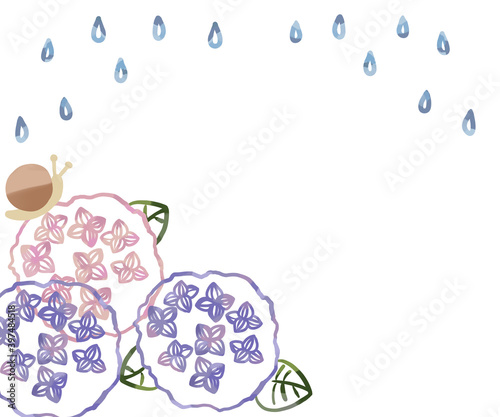 雨降りのかたつむりと紫陽花イラスト Stock Illustration Adobe Stock