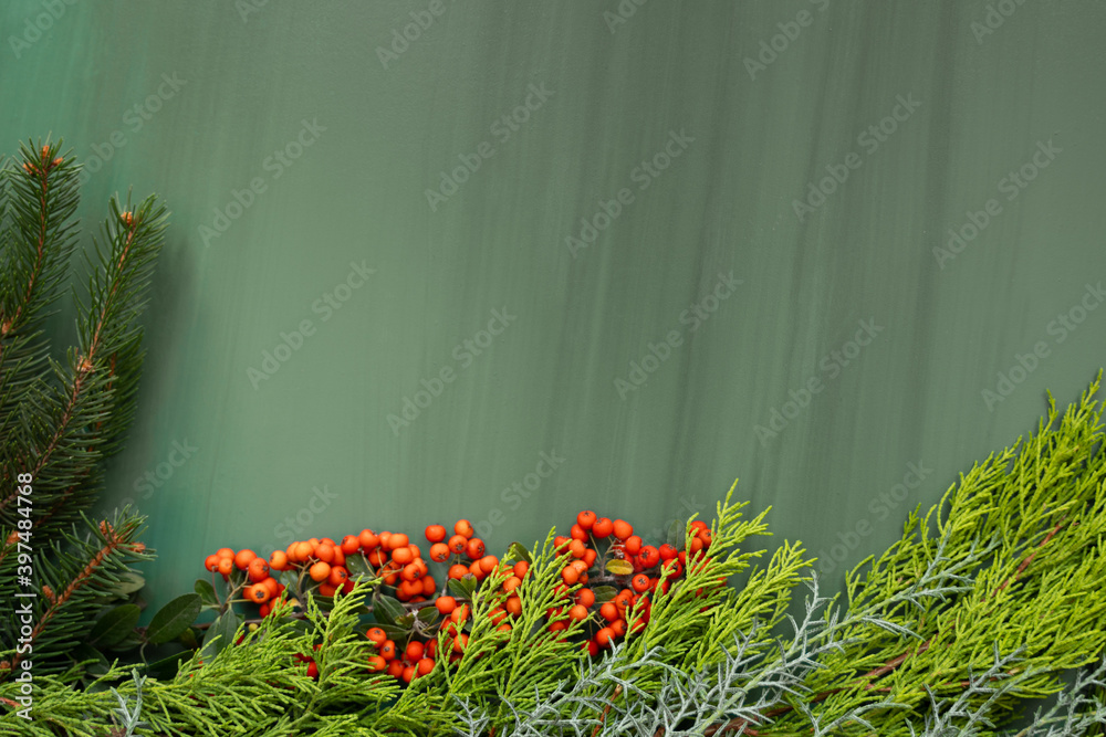 christmas background with fir, hawthorn and spruce branches green wooden flat lay