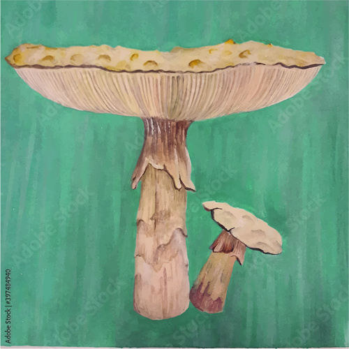 mushrooms on a wooden background
