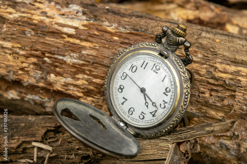 Open a vintage pocket watch lying on fallen logs.