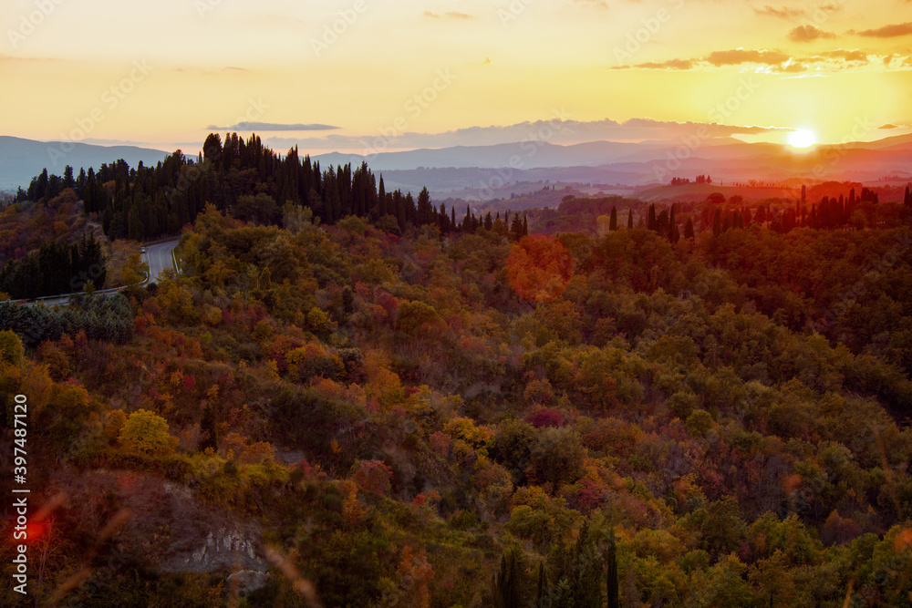 Obraz premium landscape with hills and forest