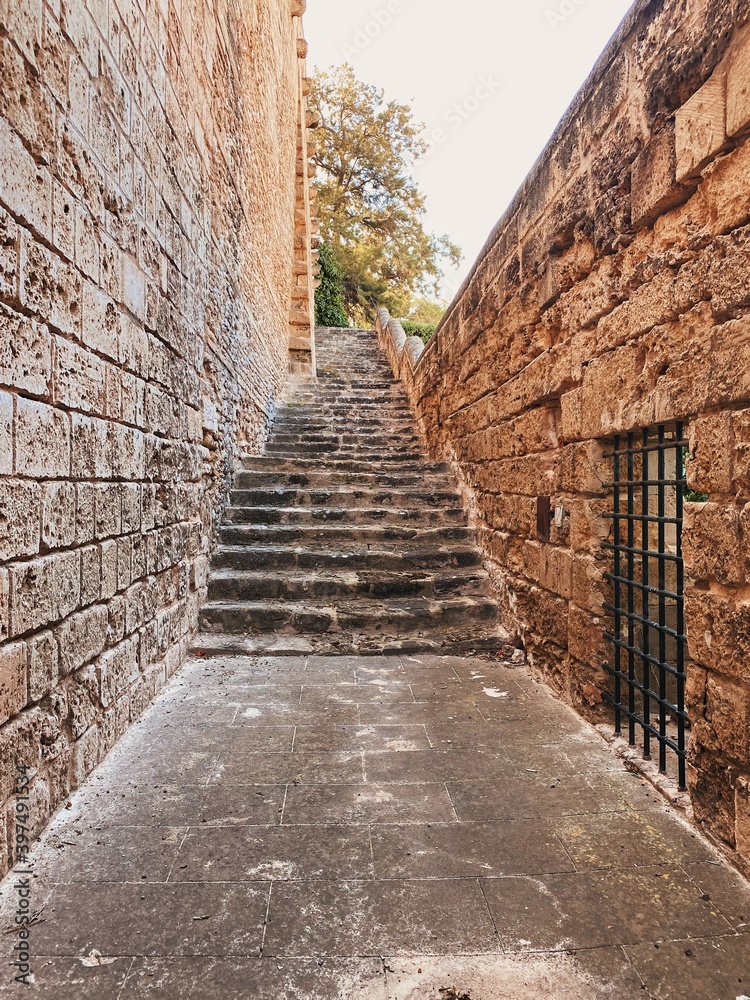 Obraz premium Secret way