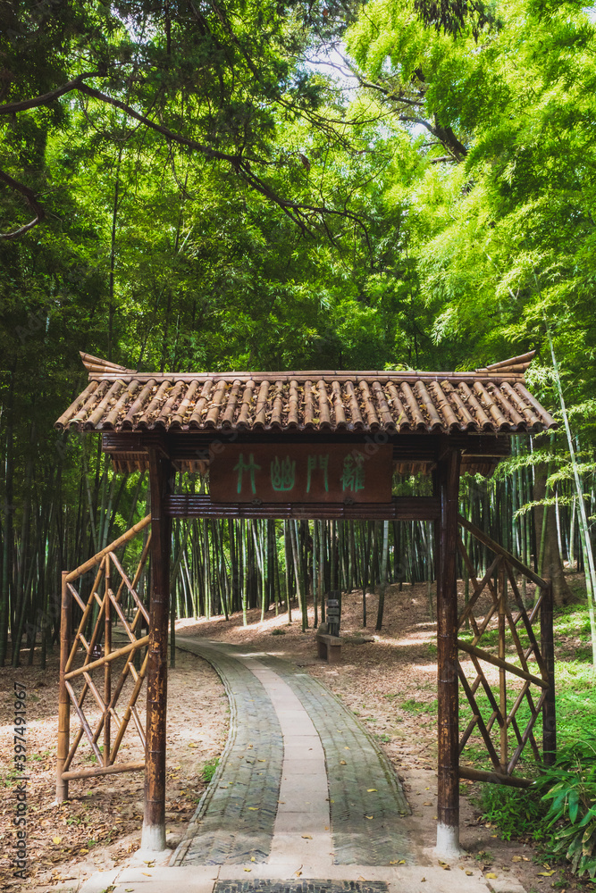 Path leading to bamboo forest on Tiger Hill (Hu Qiu) in Suzhou, Jiangsu, China Path leading to bamboo forest on Tiger Hill (Hu Qiu) in Suzhou, Jiangsu, China