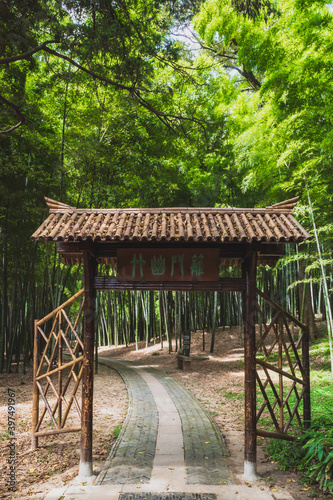Path leading to bamboo forest on Tiger Hill  Hu Qiu  in Suzhou  Jiangsu  China