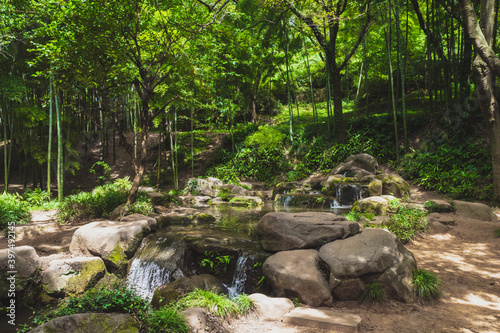 Creek in forest on Tiger Hill (Huqiu), Suzhou, Jiangsu, China