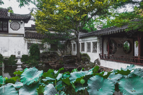 Lotus leaves and traditional Chinese architecture at Lingering Garden Scenic Area, Suzhou, Jiangsu, China