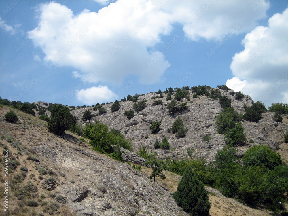 The slopes of stony mountains with sparse shrubs are dark green.