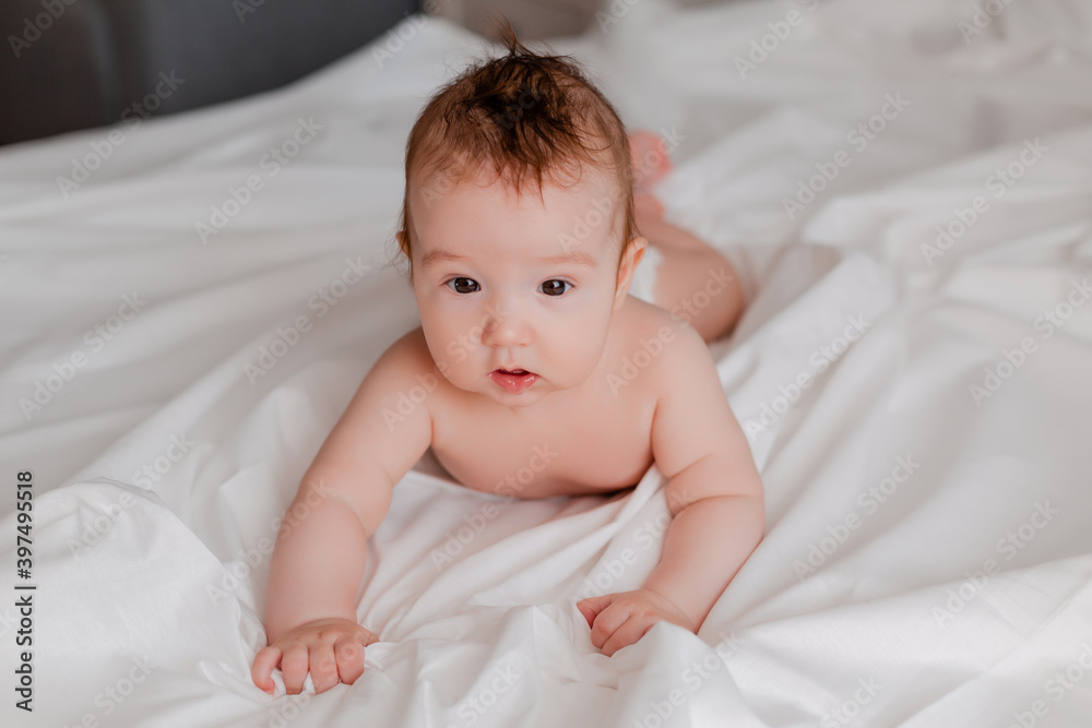 baby boy 4 months lies on the bed with a white sheet, space for text. baby boy 4 months lies on the bed with a white sheet, space for text.