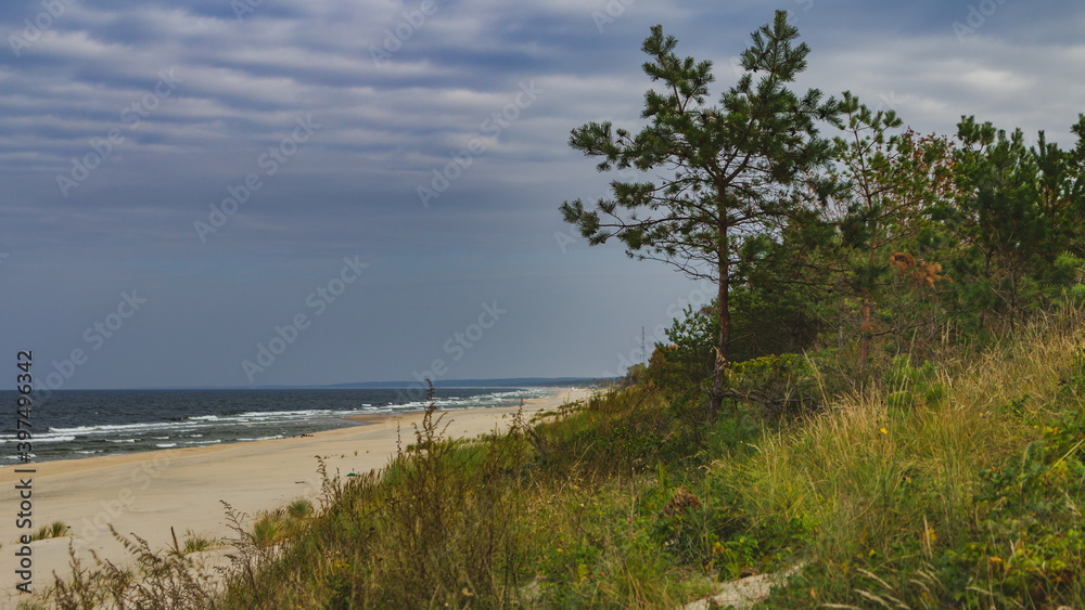Dunes on the beach of the Baltic Sea