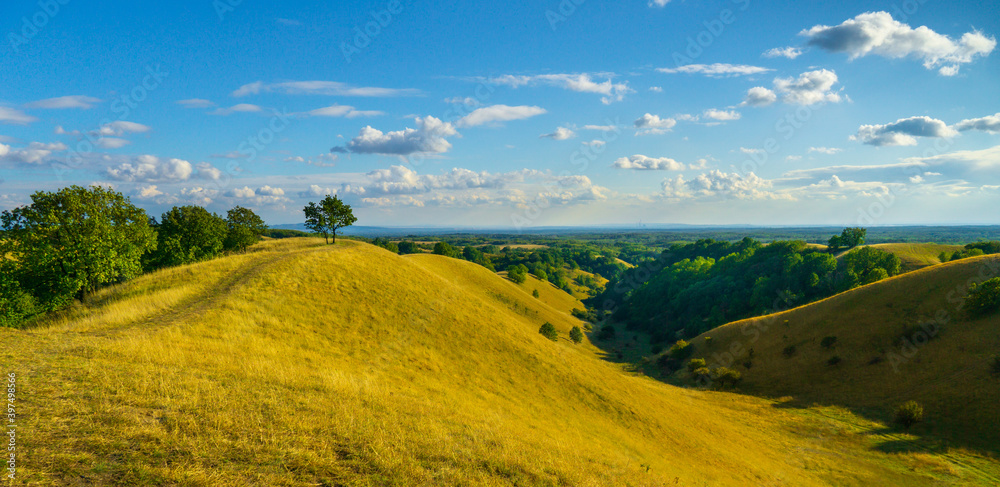 Grassy Hills