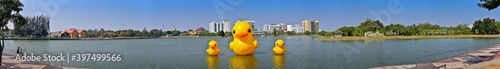 three Giant yellow rubber ducks in the lake of Udon thani province, Thailand. panorama size. Soft Focus.