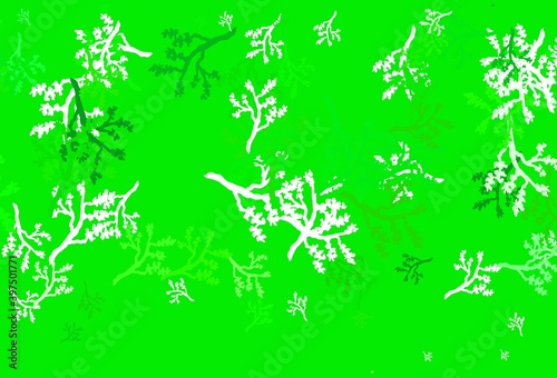 Light Green vector doodle template with branches.