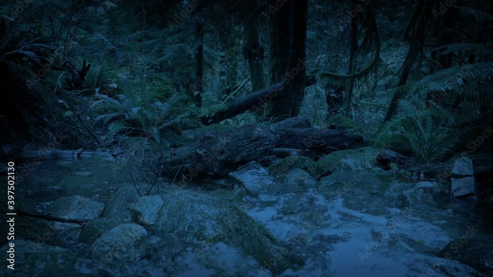 Crossing River Down Forest Slope In The Evening Crossing River Down Forest Slope In The Evening