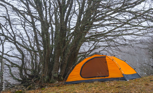 orange touristic tent stay on a forest glade