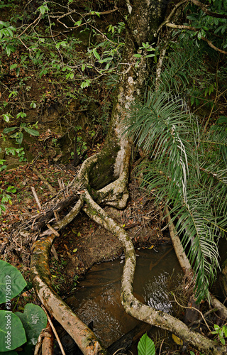 Pequena cachoeira com muitas pedras e arvores em volta. Situada em fazenda na região de Esmeraldas.