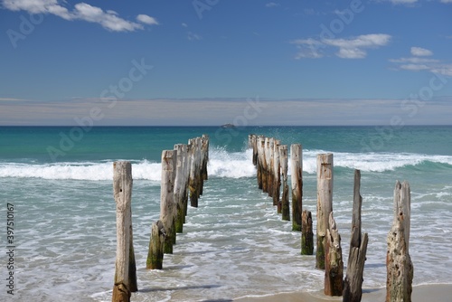 Fototapeta Naklejka Na Ścianę i Meble -  Old poles on St Clair beach in Dunedin