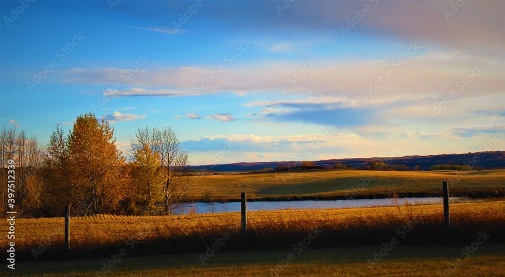 Sunset Over a Golden Field 