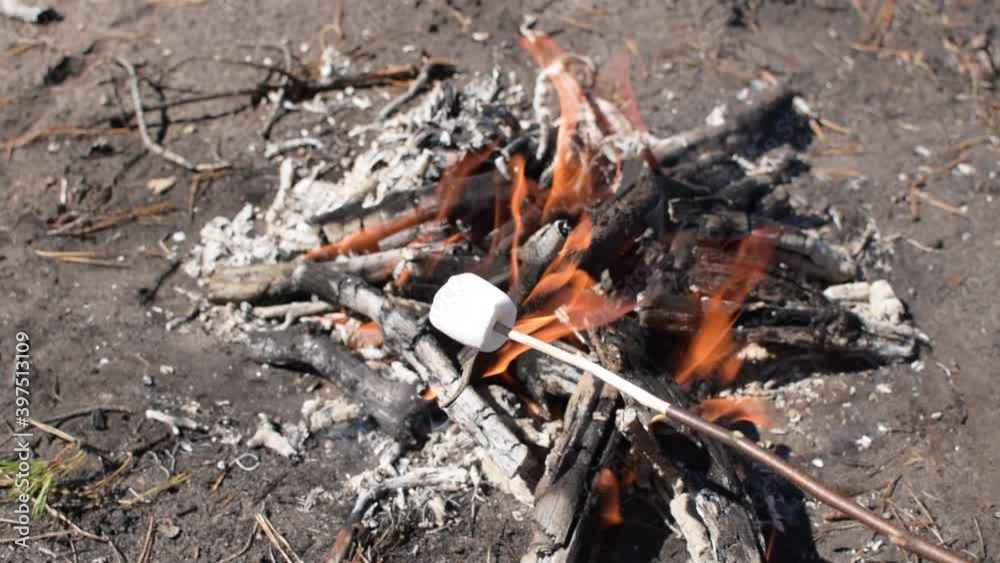 Cooking marshmallows over a campfire in the park Cooking marshmallows over a campfire in the park