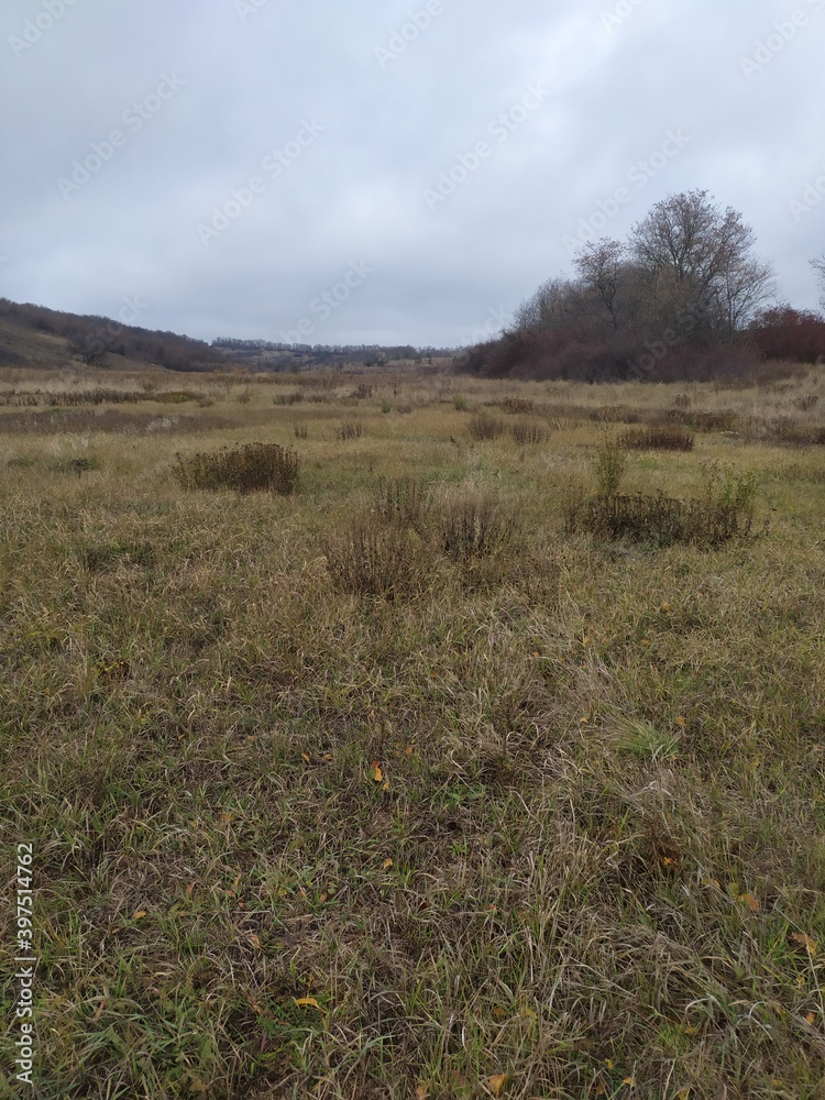 Obraz premium landscape in the mountains