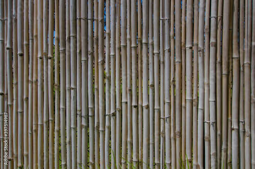 Bamboo Wood Wall