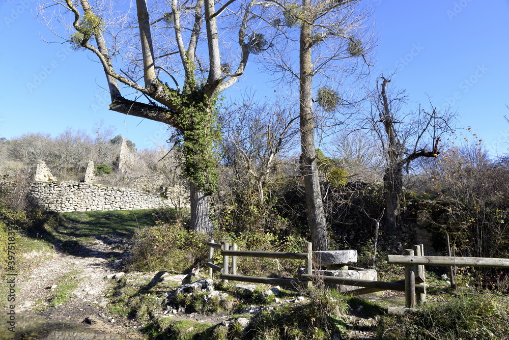 RIBERA Stock Photo Adobe Stock