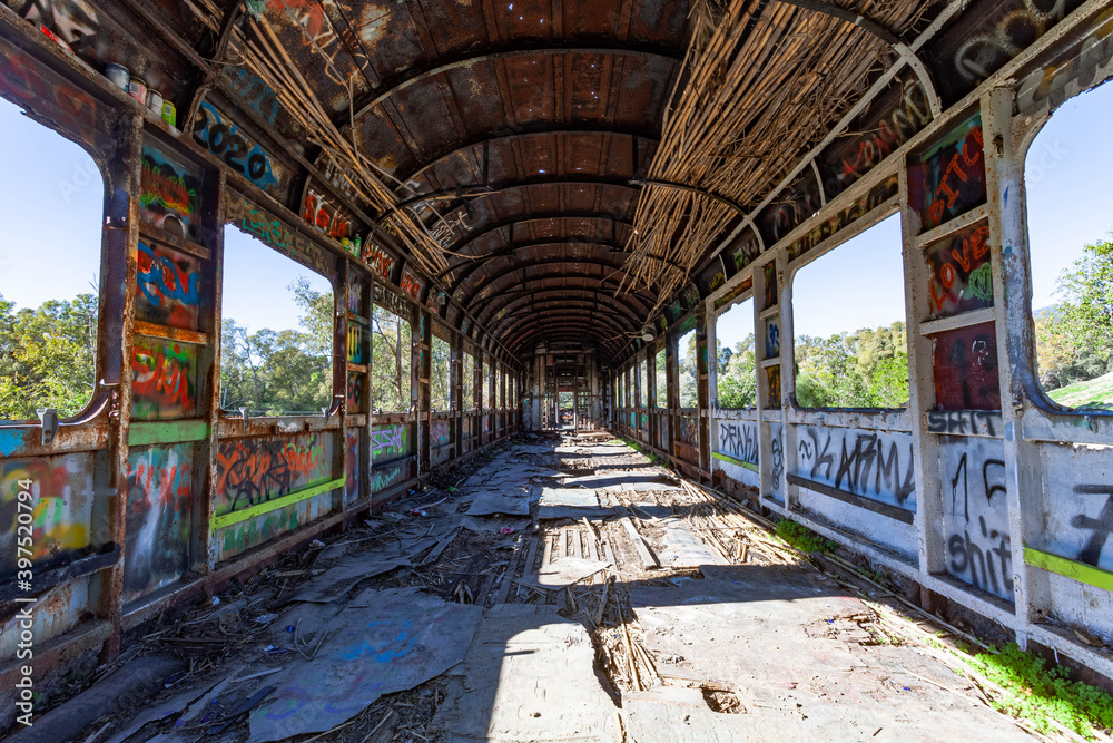 Fototapeta premium Tren abandonado en medio de un bosque