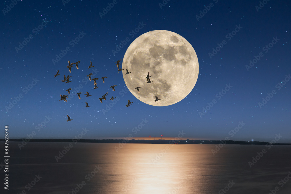 満月の夜と沖縄の海 Stock Photo Adobe Stock 満月の夜と沖縄の海 Stock Photo Adobe Stock