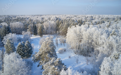Aerial photo of nbirch forest in winter season. Drone shot of trees covered with hoarfrost and snow.