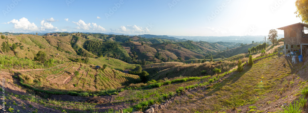 Panorama of the highhill agriculture fields