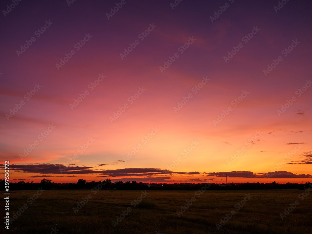Purple Sunset Purple Sunset