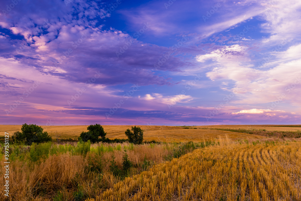 Sunset field view after harvest near Denver 