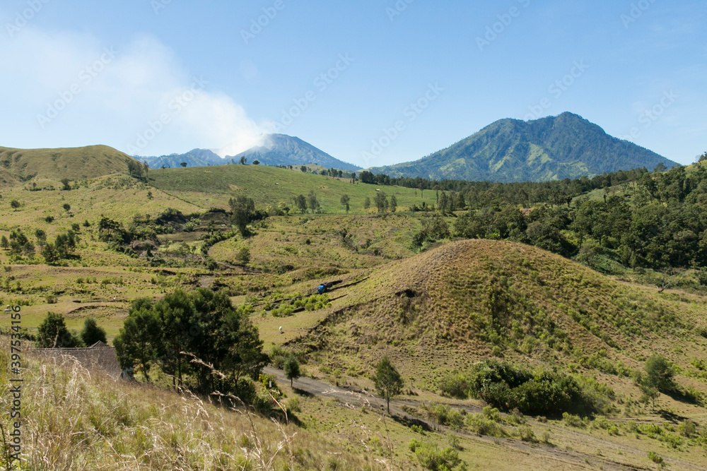 Fototapeta premium Savannah of Kawah Wurung