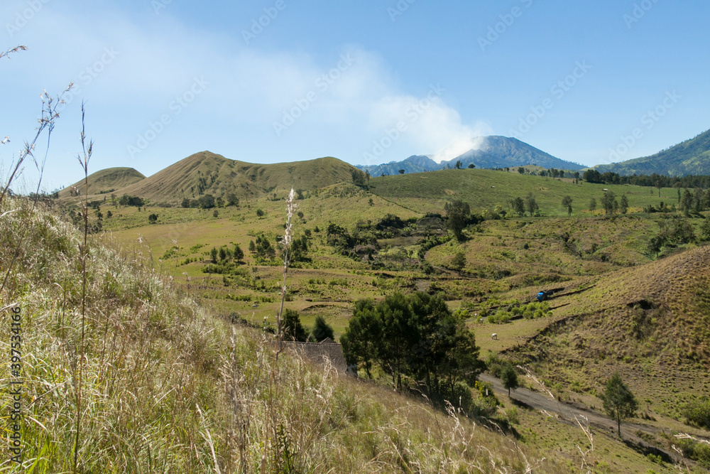 Savannah of Kawah Wurung