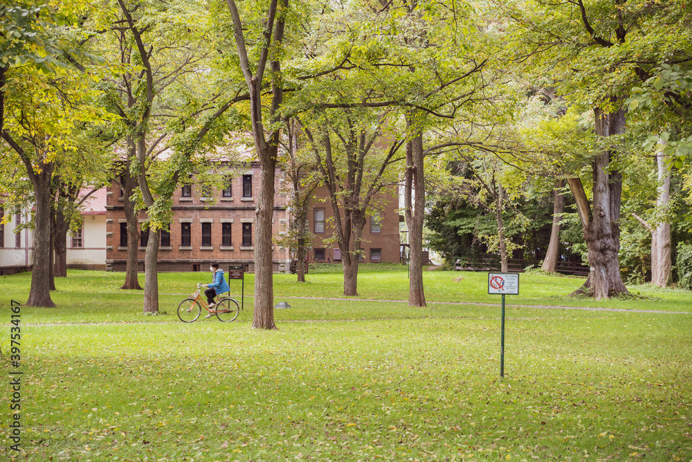 Naklejka premium 穏やかな北海道大学