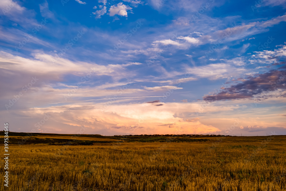 Sunset field view after harvest near Denver Airport