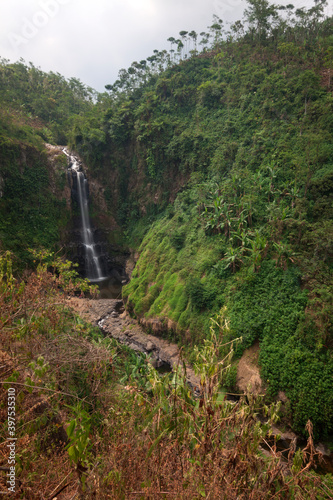 Watefall in the forest photo