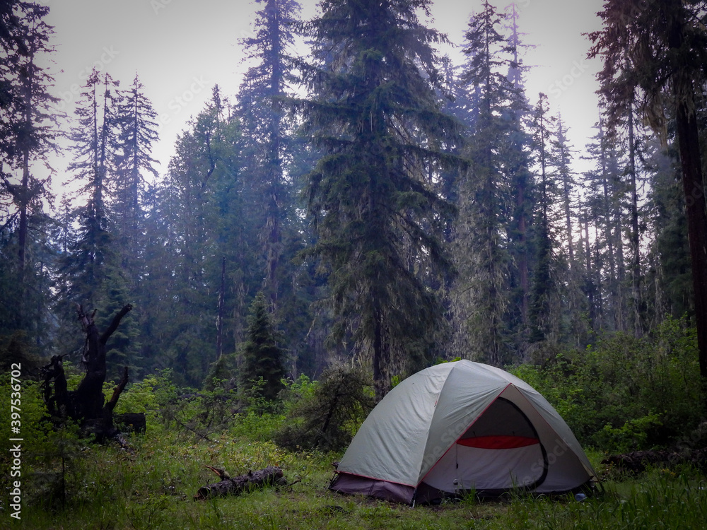 tent in the forest