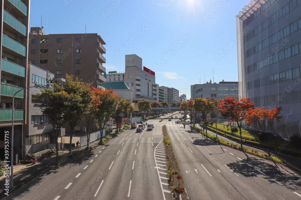 Obraz premium センター南周辺の街並み(神奈川県横浜市都筑区)