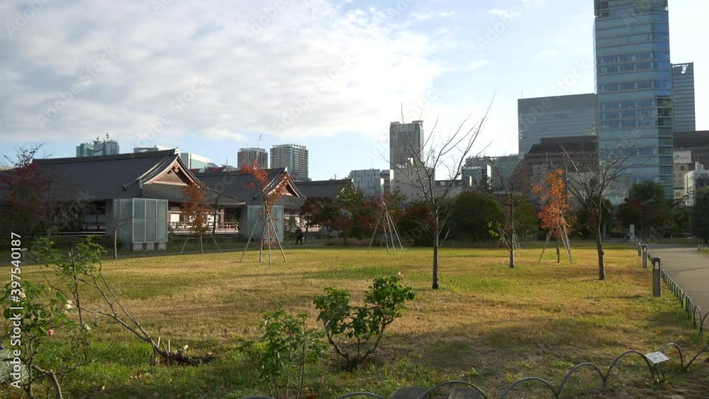芝公園 紅葉 早朝
芝公園 紅葉 早朝