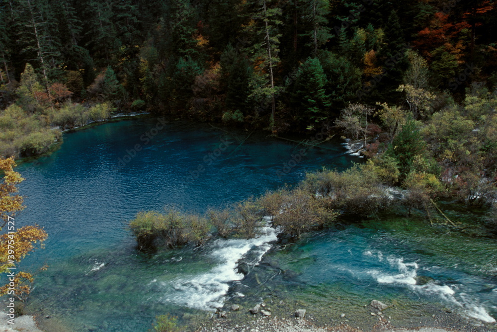 Obraz premium View of Colorful lake and forest with mountains during autumn in Jiuzhaigou National Park, Sichuan, China