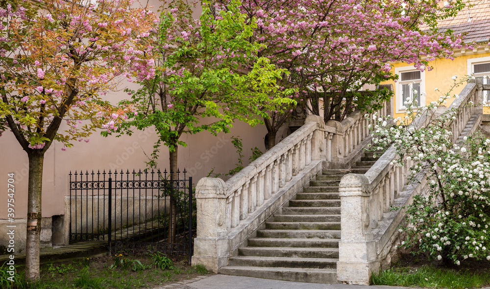 Fototapeta premium Budapest