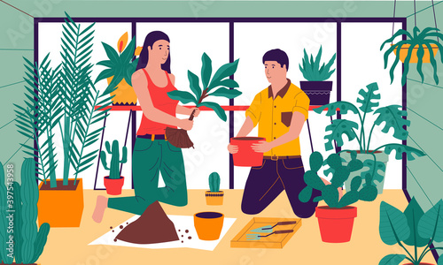 Planting at home. Cartoon friends taking care of houseplants. Man and woman replanting and watering ficuses. Hobby or decoration room with flowers in pots. Cozy interior, vector gardening illustration