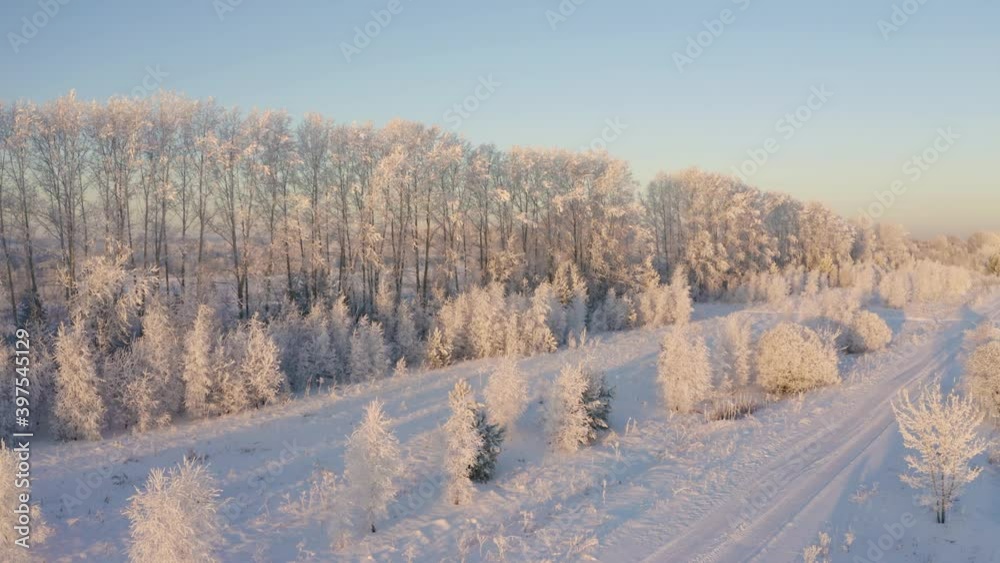 
Winter landscape flight over snow-covered trees, aerial footage