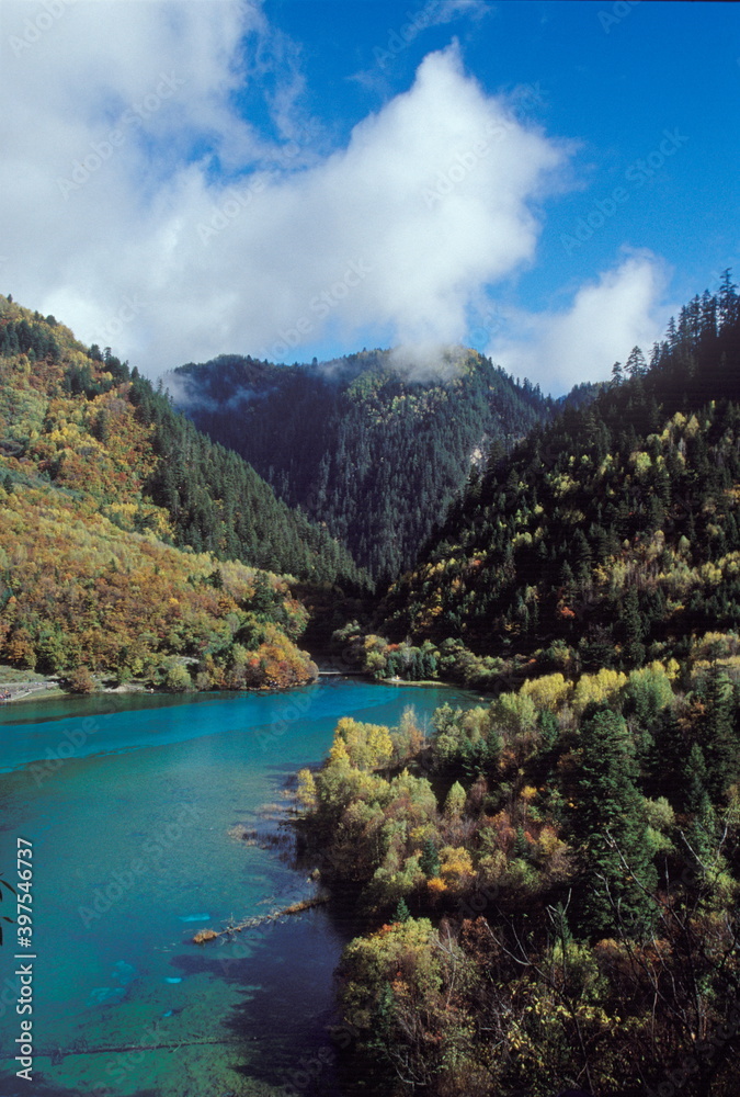 View of Colorful lake and forest with mountains during  autumn in Jiuzhaigou National Park, Sichuan, China