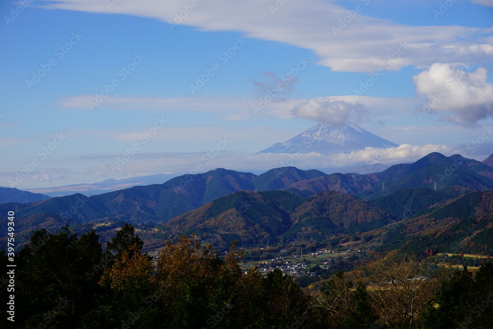 秦野菜の花台の展望台から見た富士山