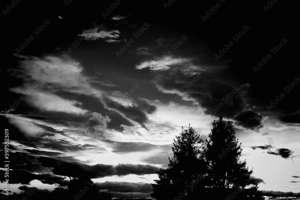 Schwarz weiß Foto von Sonnenuntergang mit Bäumen