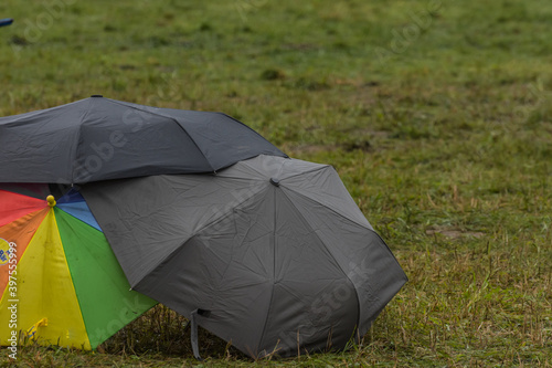 umbrellas on a green meadow at a festival