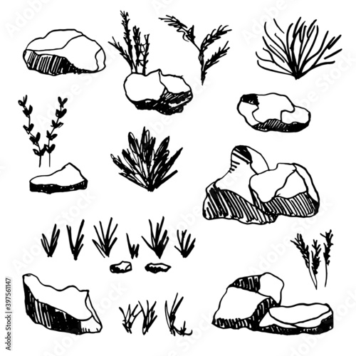 stones, cobblestones and grass vector sketch