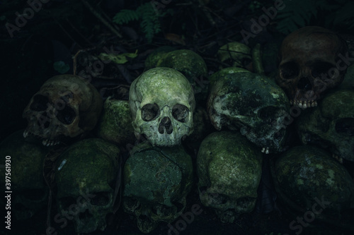 Photography grupo de calaveras en el suelo de un cementerio en Indonesia